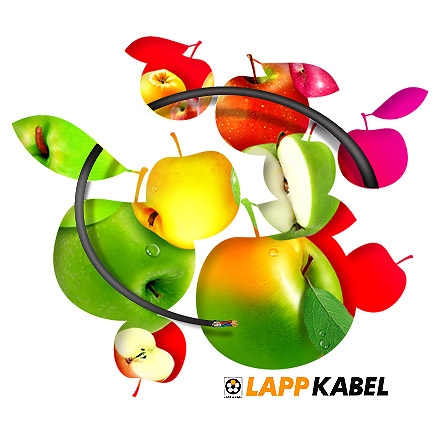  LAPPKABEL () -   ,   