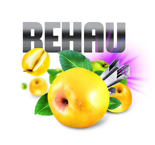  REHAU -  - ,  , , ,  